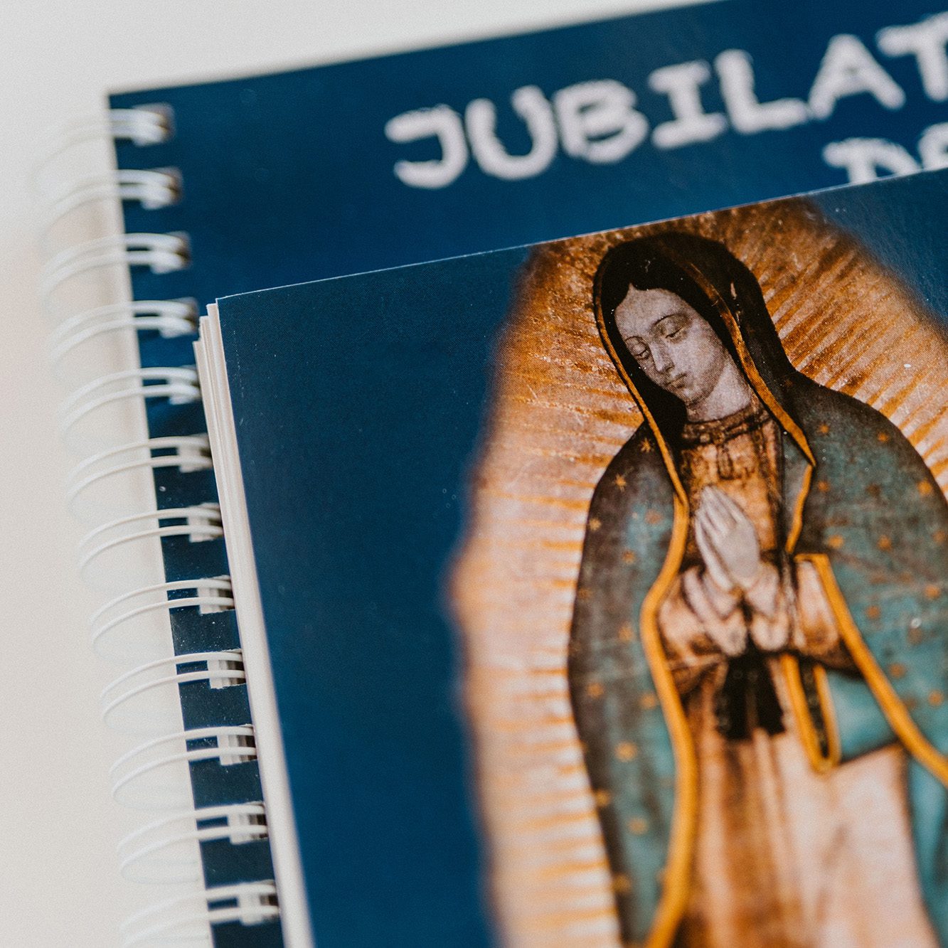 Liederbuch Jubilate Deo, Lieder & Gebete, A5 Ringbuch
(Ringeinband - Auflage 2019) – Bild 3