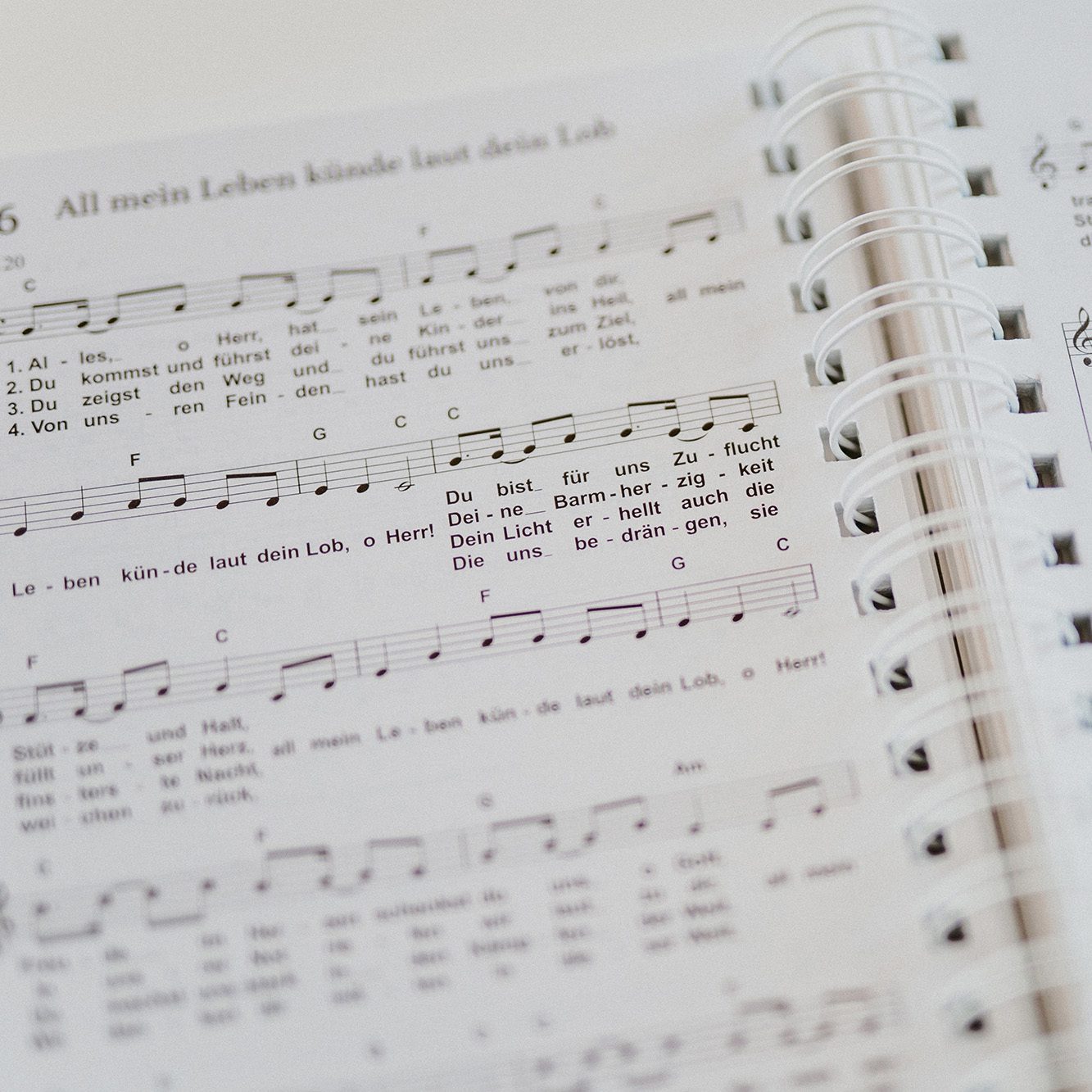 Liederbuch Jubilate Deo, Lieder & Gebete, A5 Ringbuch
(Ringeinband - Auflage 2019) – Bild 2